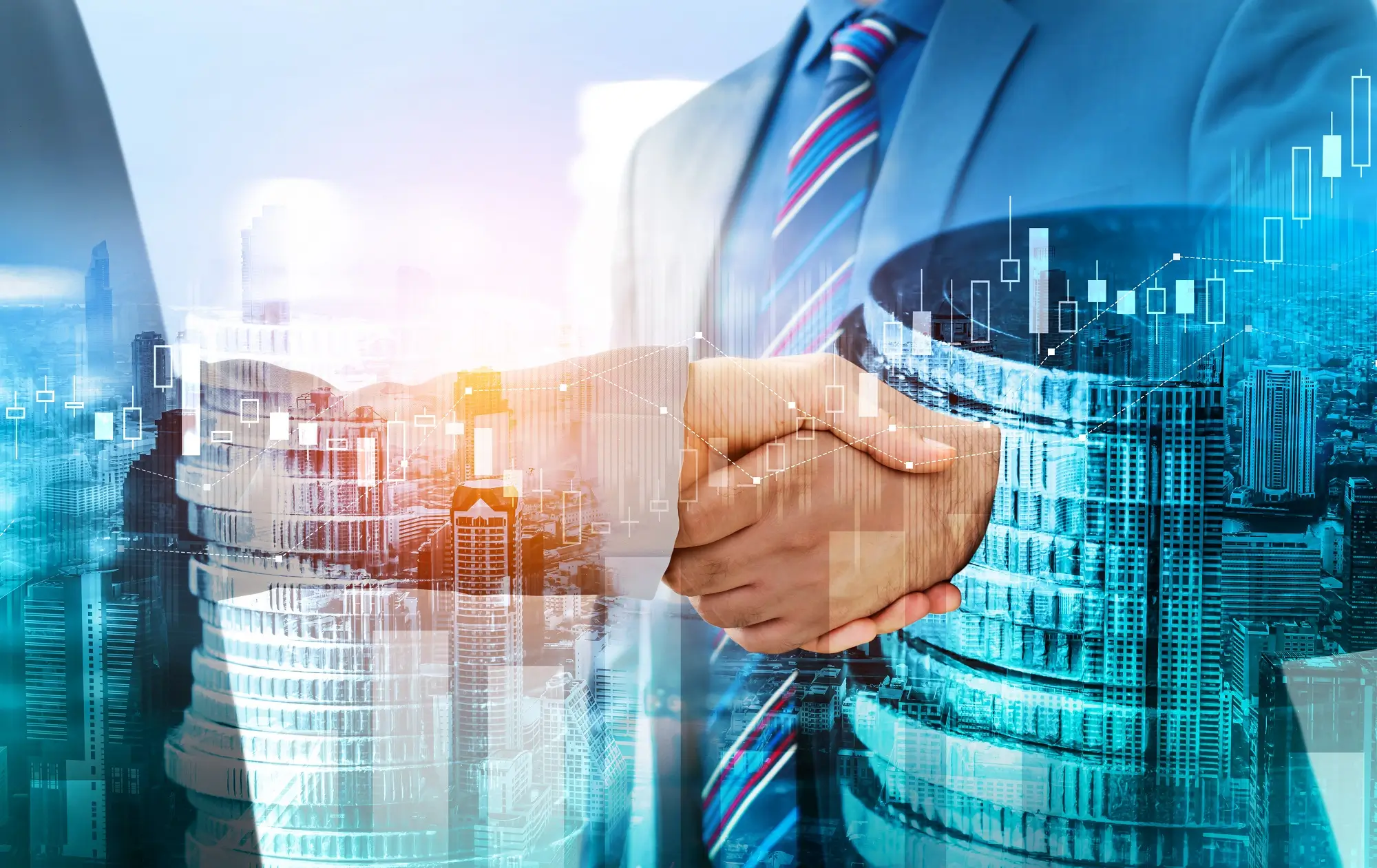 법무법인 대륜의 기업결합 조력 사항