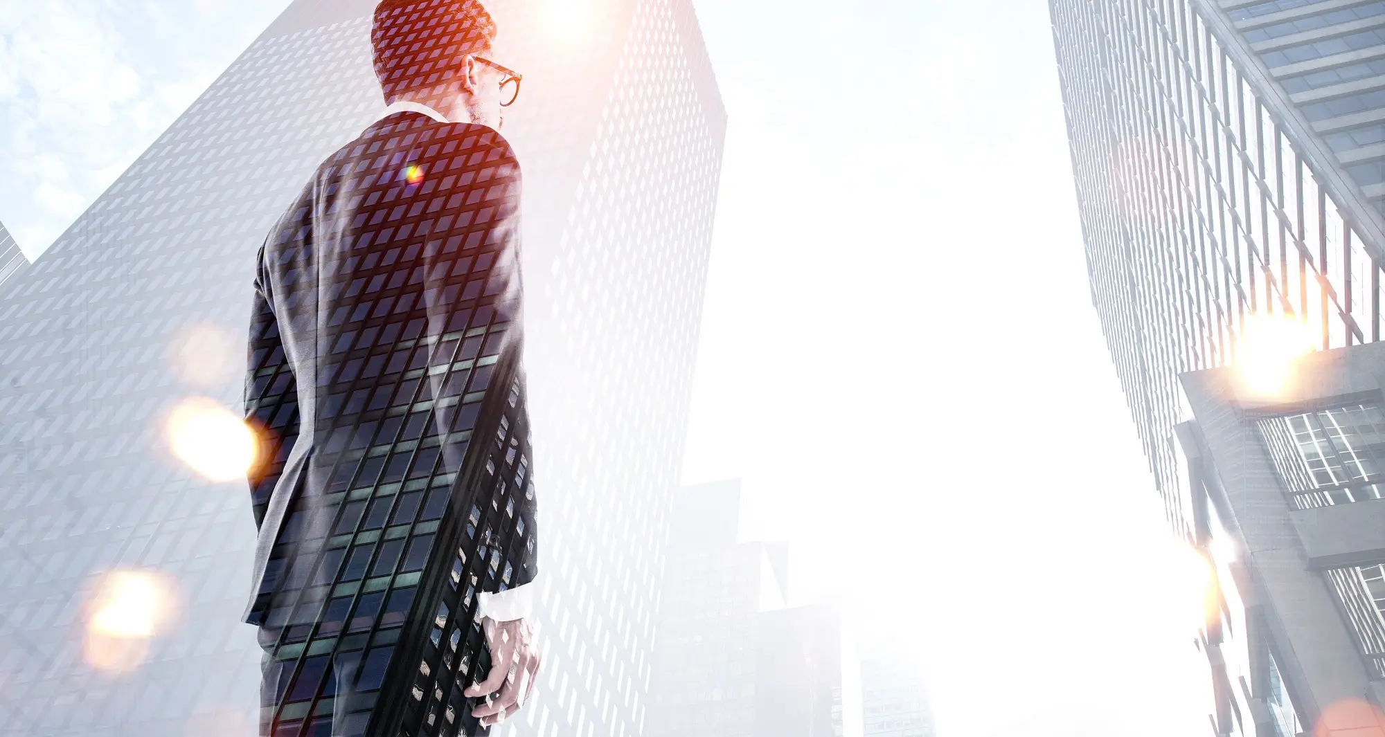 법무법인 대륜 기업분할 조력 사항 내용