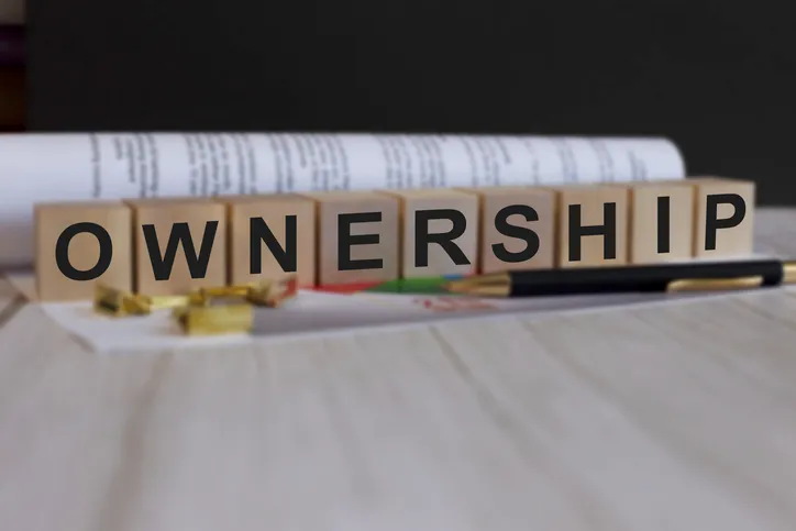 경영권분쟁소송 | 절차 및 진행 구조