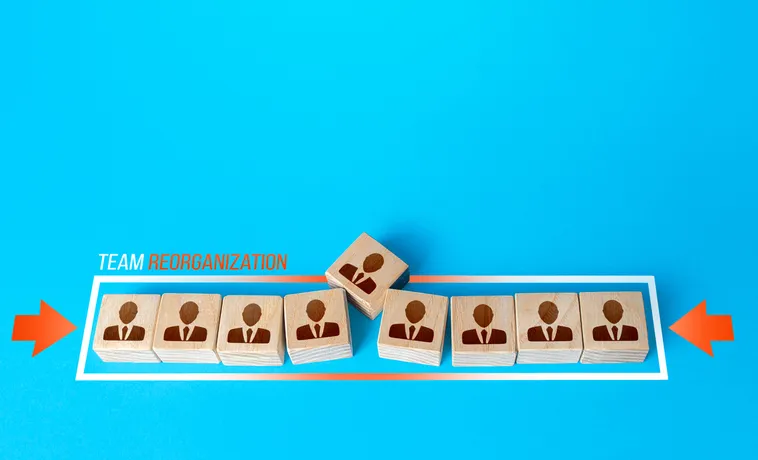 기업조직개편 규제 환경 변화